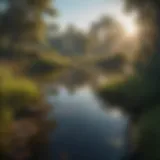 A tranquil wetland ecosystem showcasing rich biodiversity.