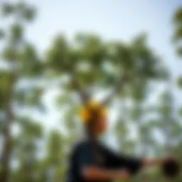 Understanding Tree Planting Contractors: Principles, Practices, and Environmental Impact Introduction