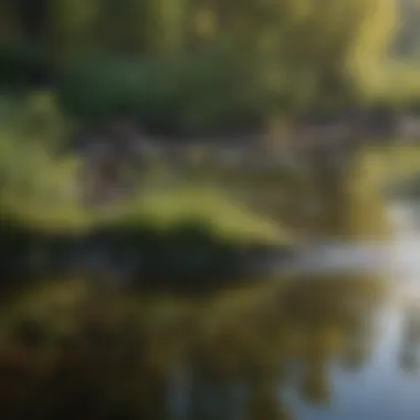 Advanced Water Quality Monitoring Advanced Water Quality Monitoring