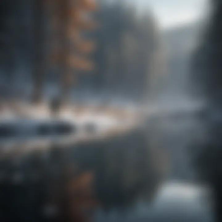 Angler casting a line into a serene winter lake