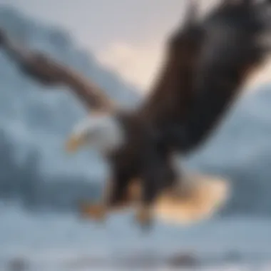 A majestic bald eagle soaring above a snowy landscape