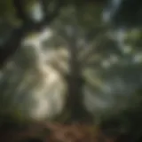 Majestic forest canopy with diverse wildlife