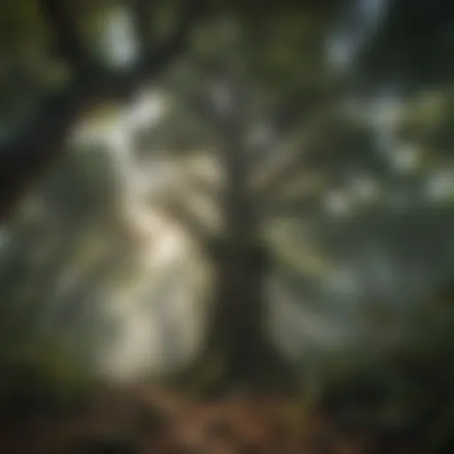 Majestic forest canopy with diverse wildlife