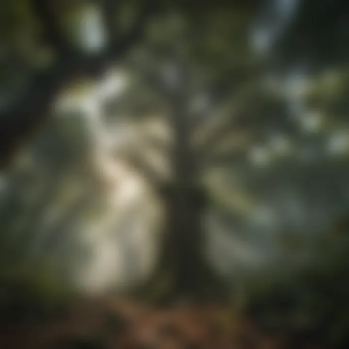 Majestic forest canopy with diverse wildlife