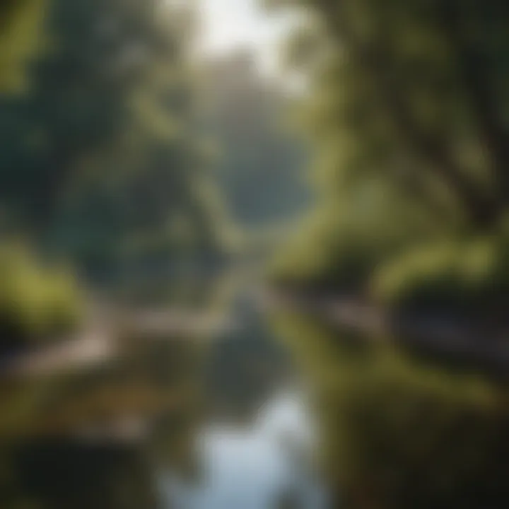 Tree-lined riverbank promoting aquatic ecosystem health