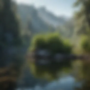 Crystal Clear Water in a Pristine Lake