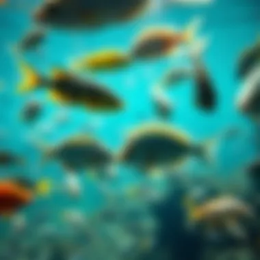 Diversity of Aquatic Life An underwater view showcasing diverse fish species