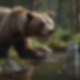 Wilderness Bear Encounter